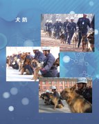 保安风采26