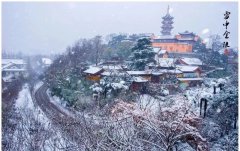 大雪倾城，迎寒而上，为雨保人点赞！